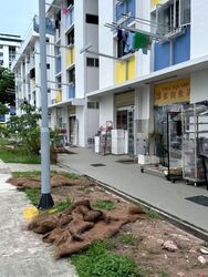 Clementi Avenue 2 (D5), Shop House #572571391